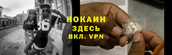 молекула духа Кулебаки