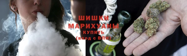 молекула духа Кулебаки