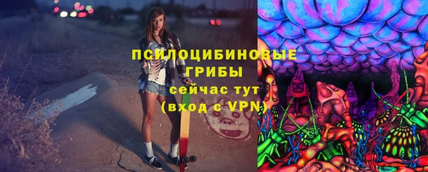 молекула духа Кулебаки