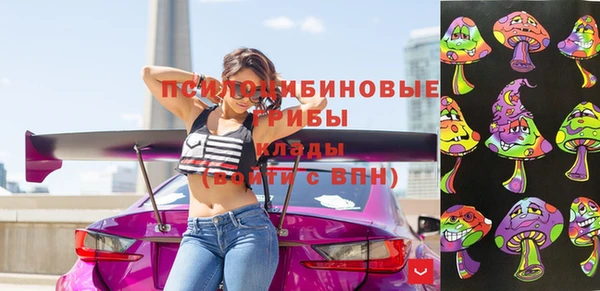 молекула духа Кулебаки