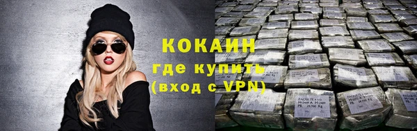 молекула духа Кулебаки