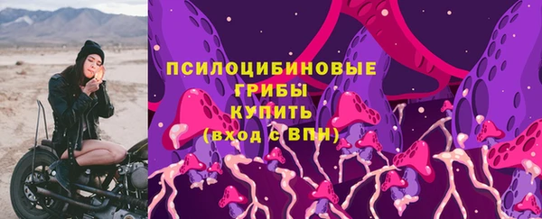молекула духа Кулебаки