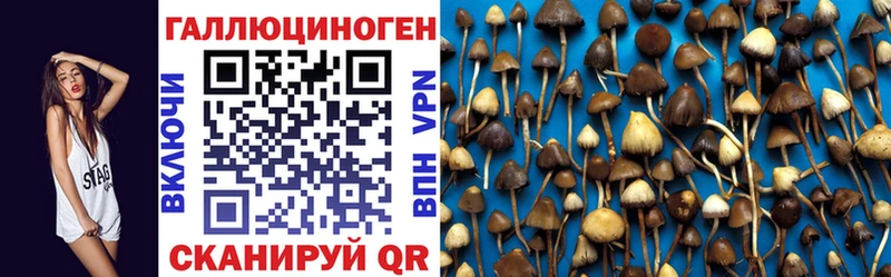 Псилоцибиновые грибы Psilocybine cubensis  Павловская 
